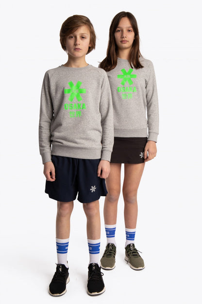 Boy and girl wearing the Osaka kids sweater in grey with logo in green. Front full view