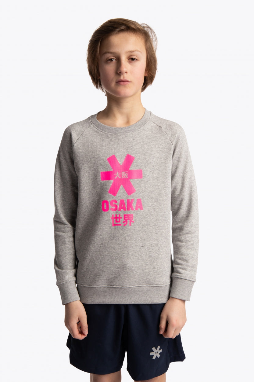 Boy wearing the Osaka kids sweater in grey with pink logo. Front view