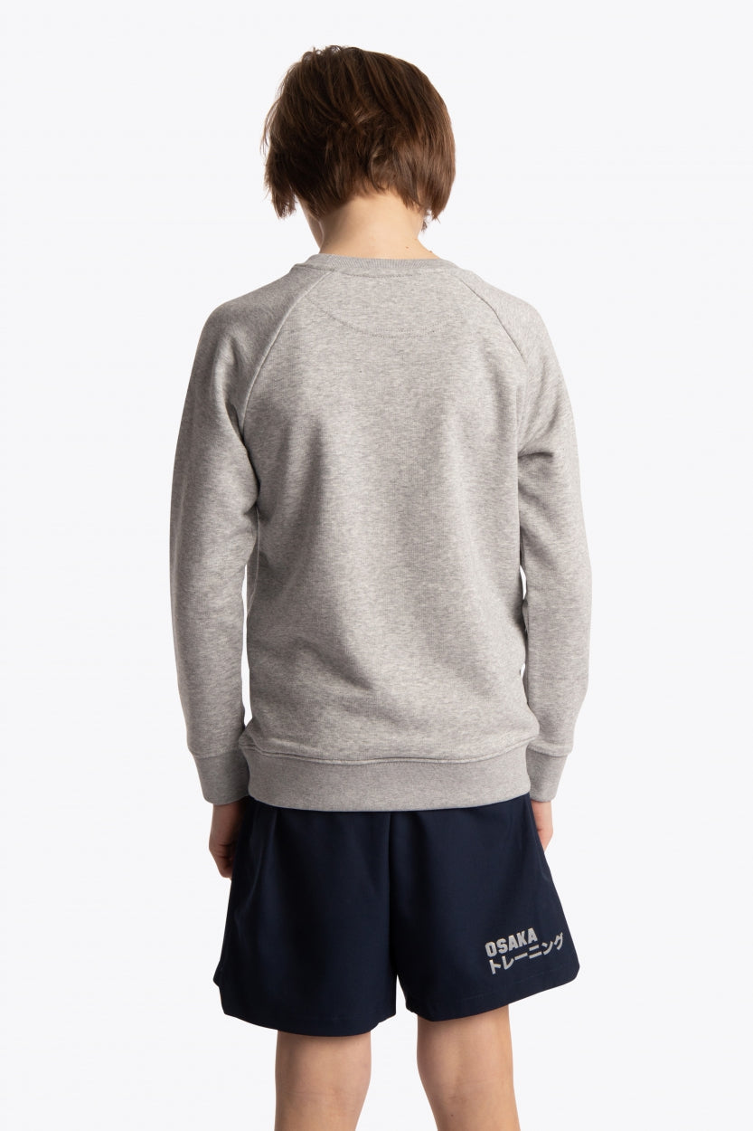 Boy wearing the Osaka kids sweater in grey with pink logo. Back view