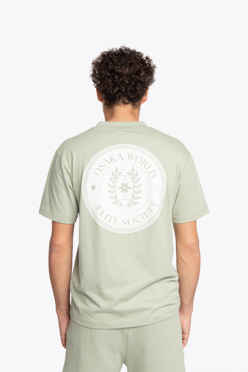 Man wearing the Osaka unisex tee in iceberg green with white logo. Back view