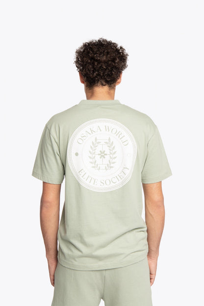 Man wearing the Osaka unisex tee in iceberg green with white logo. Back view
